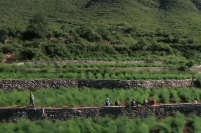 美丽休闲乡村：梁家庄村