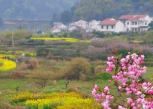 美丽休闲乡村 | 沼山村