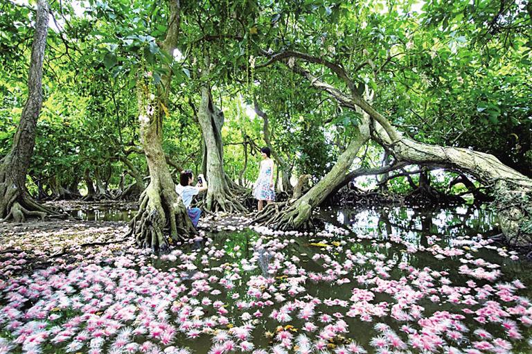 儋州中和镇七里村入选全国乡村旅游重点村